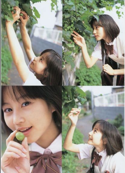 2024新杨门女将电视剧_1080P全集免费观看