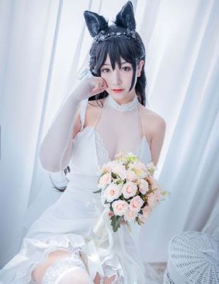 花儿与少年5季网盘资源_高清在线观看完整版